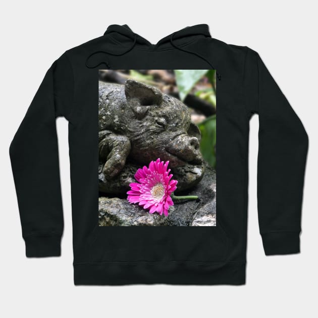 Stoney the Pig and Garvinia Hoodie by JonDelorme